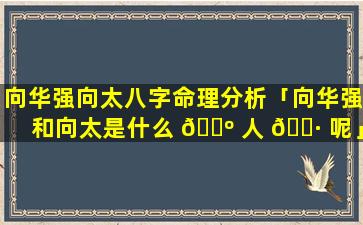 向华强向太八字命理分析「向华强和向太是什么 🐺 人 🕷 呢」